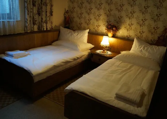 Ausserlechner 公寓 因斯布鲁克